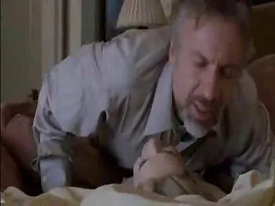 ગરમ બચ્ચાઓ એક ડિક ચૂસી રહ્યા છે