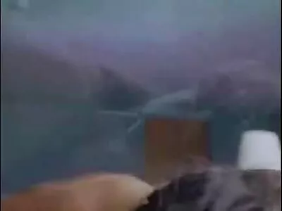 લવલી બેબે તેના પ્રેમીને આનંદ આપ્યો