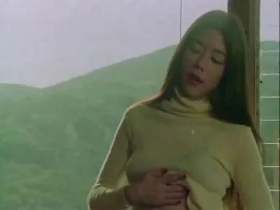 કાર્પેટની સફાઈ