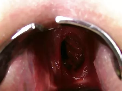 શિંગડા કુગર ચેરી ડેવિલે રસોડામાં બોન કરે છે